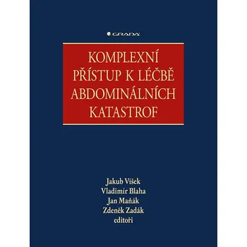 Komplexní přístup k léčbě abdominálních katastrof