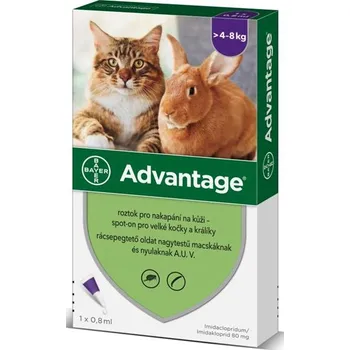 Bayer Advantage Spot On pro kočky 80 mg, 1x 0,8 ml