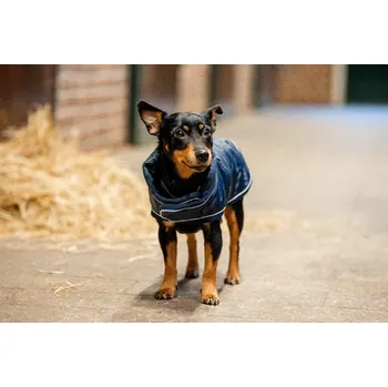 Pelíšek pro psa HORSEWARE Deka pro psy Signature Horseware, 200 g, navy M
