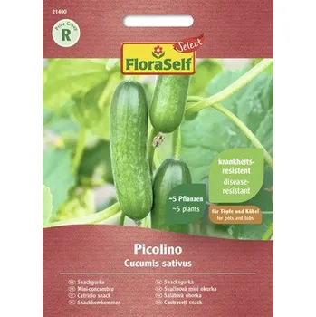 Semeno Okurka Picolino F1 Kiepenkerl