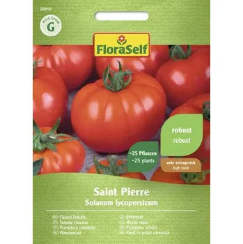 Semeno Rajče masité Saint Pierre FloraSelf
