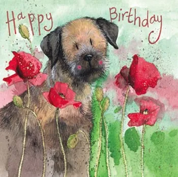 Přání v obálce Border terrier, Pejsci od ALEX CLARK 14*14 cm (Blahopřáníí s pejskem, psi)