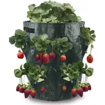 Vaxon Pytel na pěstování jahod 34 x 45…