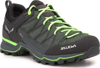 Pánská treková obuv Salewa Mountain Trainer Lite Gore-Tex 61361-5945