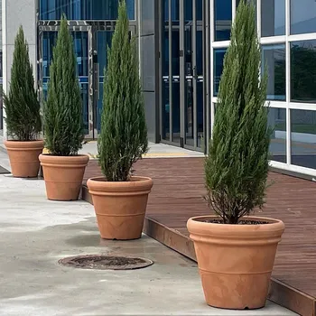 Květináč Květináč DOUBLE RIM 65 DBL - DOUBLE RIM 65 Terakota