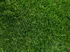 Umělý povrch CONDOR Megan 38 umělý trávník zelený