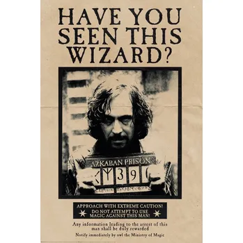 Plakát Plakát, Obraz - Harry Potter - Sirius Black