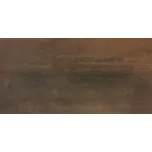 RAKO RUSH WAKVK520 30 cm x 60 cm x 0,8 cm hnědá 1,44 m2