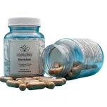 Animamea Hericium 520 mg 60 cps.
