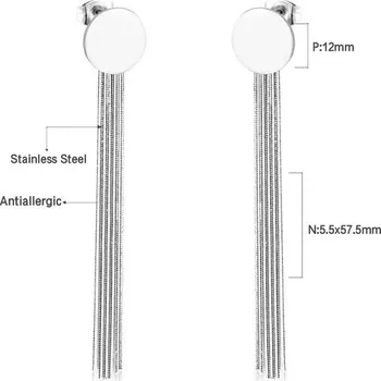 Náušnice Visací náušnice z nerezové oceli - 280S