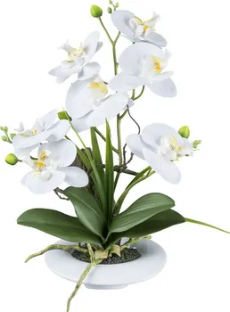 Umělá květina Gasper Umělá orchidej v keramickém květináči 41 cm bílá