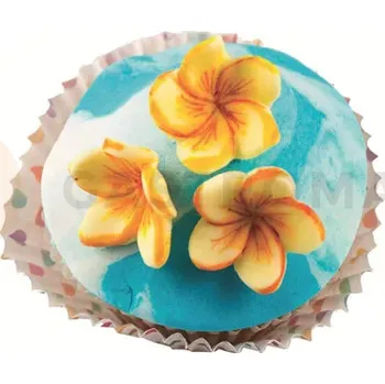 Kuchyňská sůl Oboustranná silikonová forma na cukrovou hmotu ve tvaru květů plumérie - SLK807, 30 mm | SILIKOMART, SugarFlex