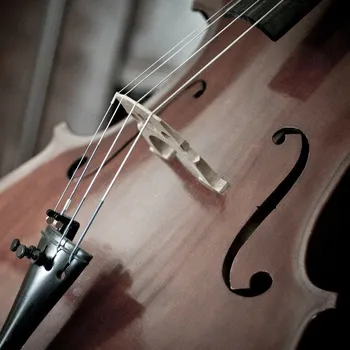 Sólo pro violoncello: Petr Nouzovský