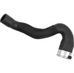 Hadička plnicího vzduchu BUGIAD 81978