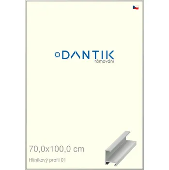 Rám na obraz DANTIK rámeček 70x100 | ALU profil 6001 Stříbrná matná (Plexi Čiré) (Vyrobeno s láskou u nás v DANTIKU)