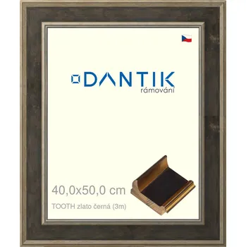 Rám na obraz DANTIK rámeček 40x50 | TOOTH zlato černá (Plexi Čiré) (Vyrobeno s láskou u nás v DANTIKU)