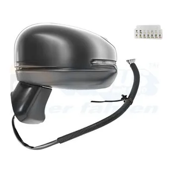 Auto zrcátko Vnější zpětné zrcátko VAN WEZEL 2562805