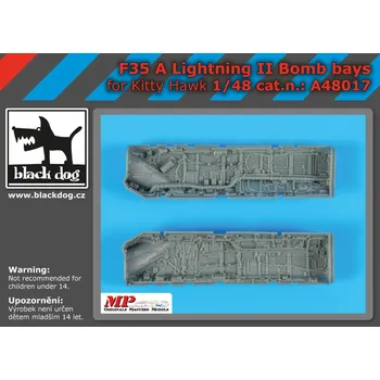Plastikový model Blackdog 1/48 F 35A Lightning II bomb bays (KITTYH)