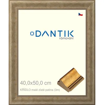 Rám na obraz DANTIK rámeček 40x50 | KŘÍDLO malé zlaté patina (Plexi Čiré) (Vyrobeno s láskou u nás v DANTIKU)