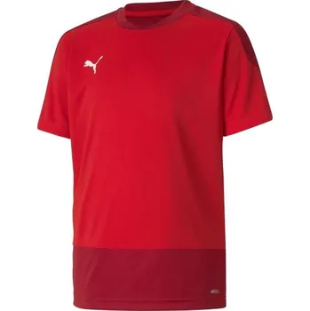 Chlapecké tričko Chlapecké fotbalové triko Puma TEAMGOAL 23 TRAINING JERSEY TEE 128 Červená, Bílá