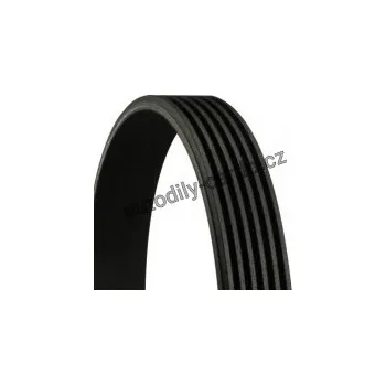 Rozvod motoru Drážkový řemen CONTINENTAL CTAM 6PK1039 ELAST