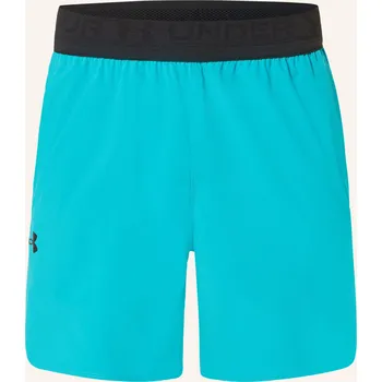 Pánské kraťasy Under Armour Pánské Tréninkové Kalhoty Ua Vanish Elite,...