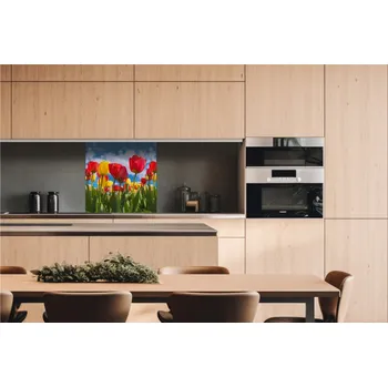 Obklad DIMEX | Dibond za kuchyňskou linku DBW-06060-131 | 60 x 60 cm | Pole tulipánů + Dibond deska za kuchyňskou linku DIMEX v rozměru 60 x 60 cm, motiv Pole tulipánů