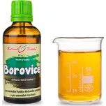 Bylinné kapky s.r.o. Borovice tinktura…