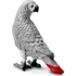 Figurka Safari Ltd. 100201 Papoušek šedý