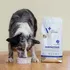 Krmivo pro psa VetExpert Veterinary Diet Dog Adult Dermatosis Salmon/Potato 12 kg