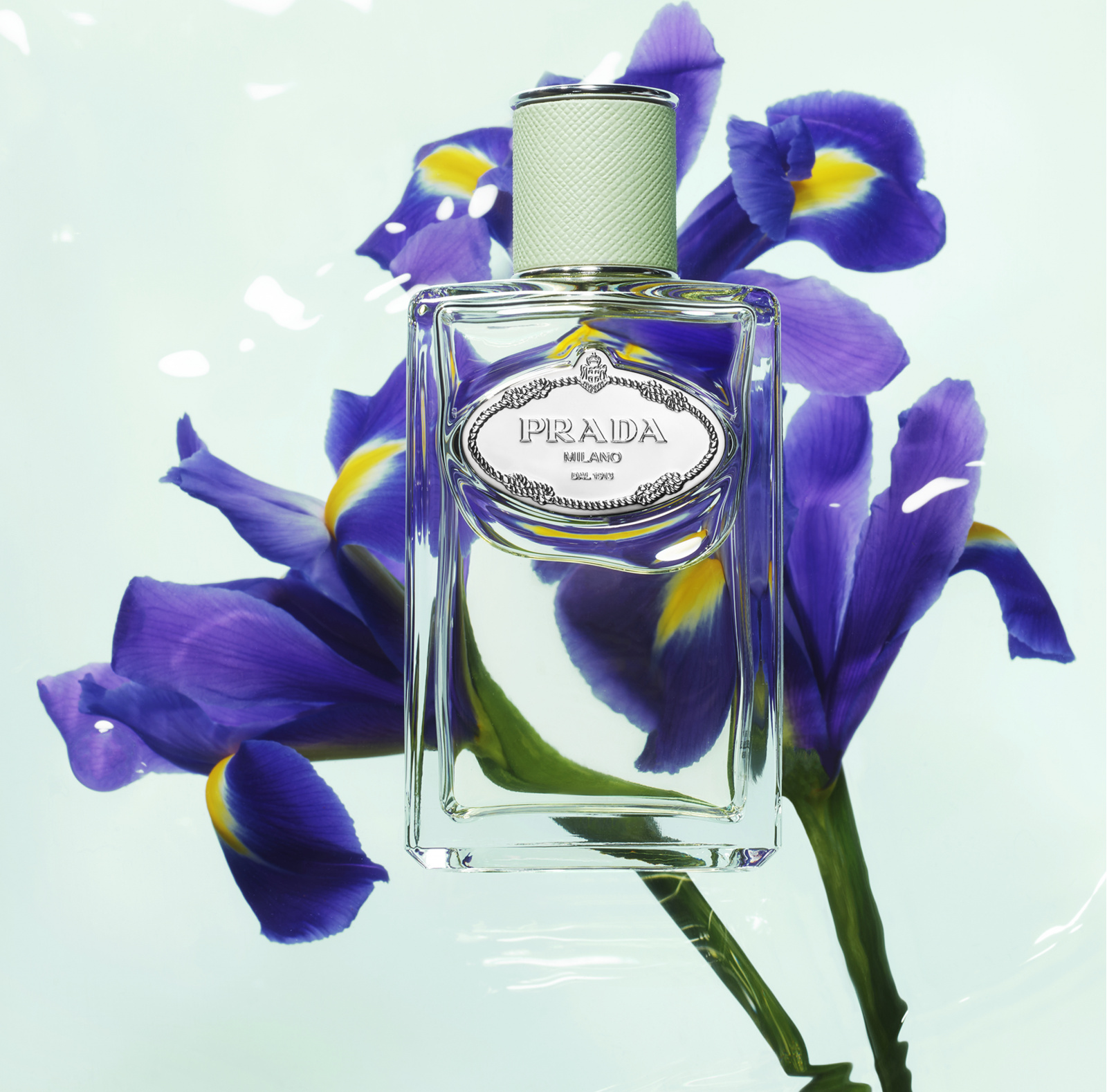 Prada Infusion D'Iris W EDP od 210 Kč