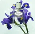 Dámský parfém Prada Infusion D'Iris W EDP