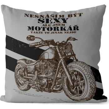 Dekorativní polštářek Polštář 40 x 40 cm - Sexy motorkář