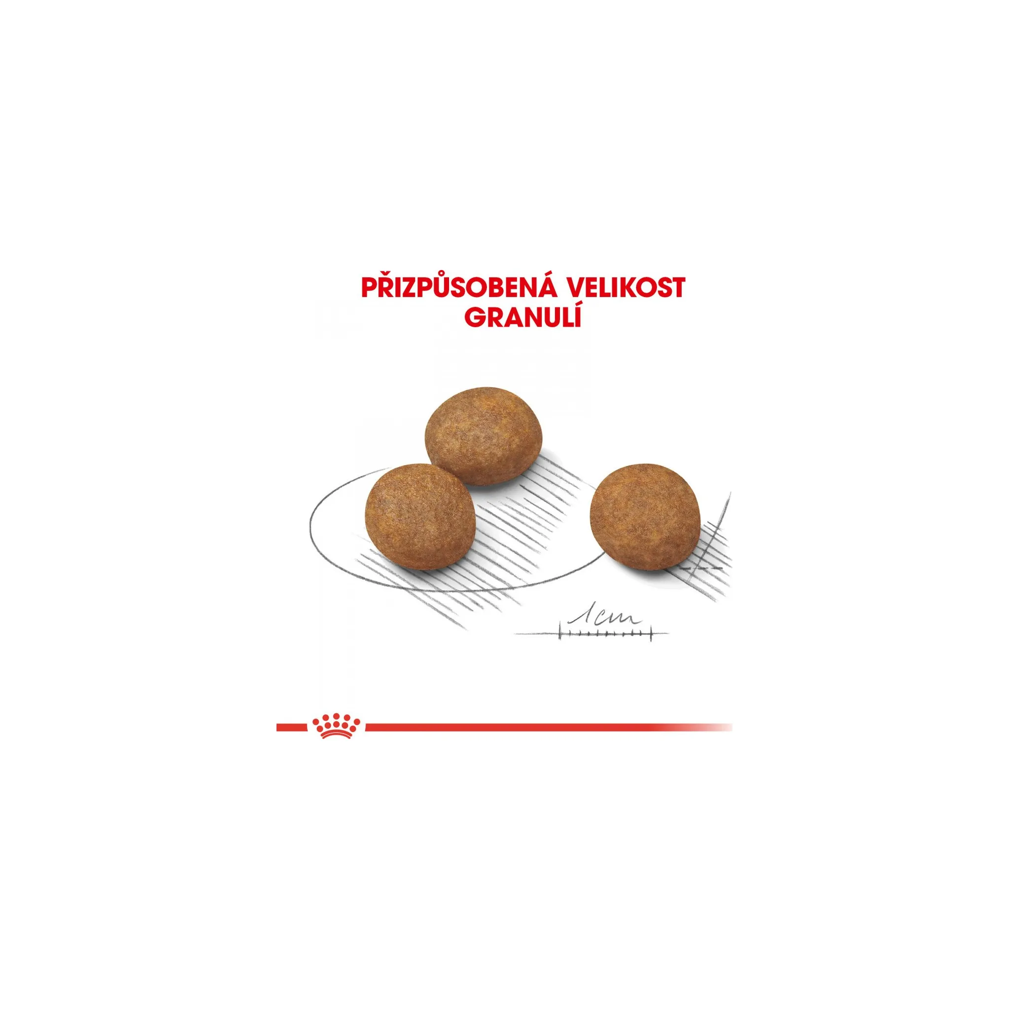 Fotografie 2 - Krmivo pro psa Royal Canin Maxi Puppy Poultry 15 kg
