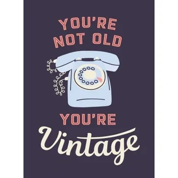 Kniha You're Not Old, You're Vintage - Publishers, Summersdale