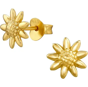 Hodinky Náušnice Bonore - Pozlacené Stříbro 925 168117