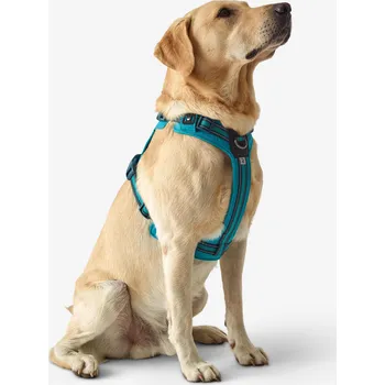 Postroj pro psa CAPERLAN Postroj pro psa Outdoor 500 M MODRÁ|ZELENÁ