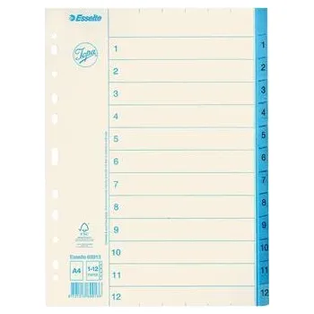 Archivační box Rejstříky, bílá, A4, karton, 1-12, ESSELTE