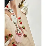 3Pagen Ruční mixér