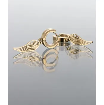 Náušnice Prosperk Náušnice z oceli kroužky s andělskými křídly S1111