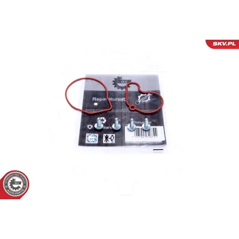 Posilovač brzd Opravná sada, podtlaková pumpa (brzdová soustava) ESEN SKV 18SKV807