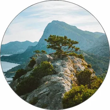 Jedlá dekorace na dort Jedlý papír strom na skále 19,5 cm