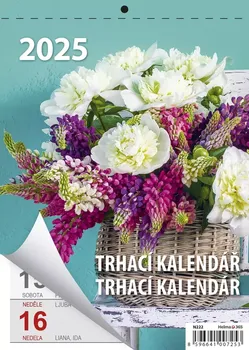 Kalendář Helma365 Týdenní trhací kalendář A5 2025