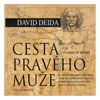 Cesta pravého muže - David Deida