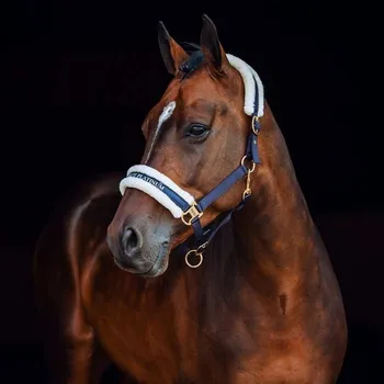 Stájová ohlávka Horze Platinum, Cob - Tmavě modrá