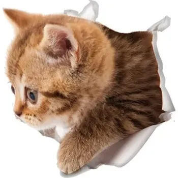 Samolepící dekorace Nálepka na zeď | 3D samolepka na zeď kočka - 15