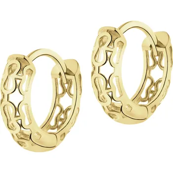 Náušnice Zlaté náušnice - AP539-3150