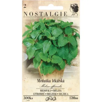 Semeno Meduňka lékařská