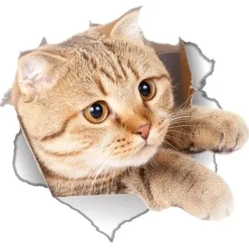 Samolepící dekorace Nálepka na zeď | 3D samolepka na zeď kočka - 4
