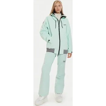 Colourwear Lyžařská bunda 7010319 Zelená Regular Fit L